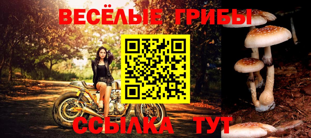 Галлюциногенные грибы мицелий Лангепас
